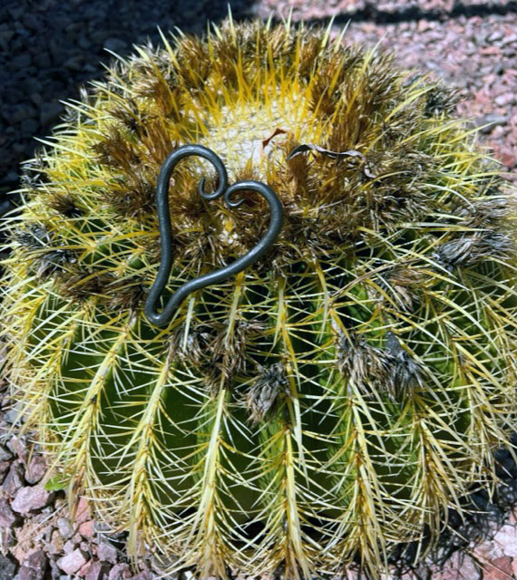 forged heart on cactus