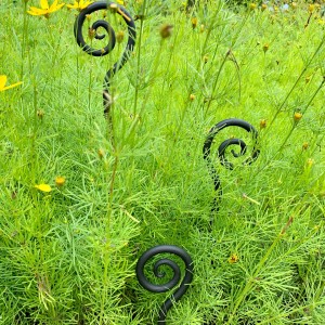 forged fiddleheads
