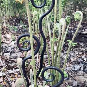 hand-forged fiddlehead garden stakes