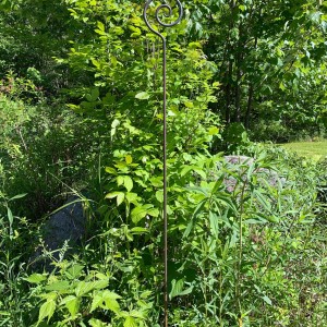 hand-forged plant support garden stake