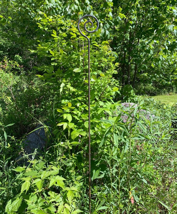 hand-forged plant support garden stake