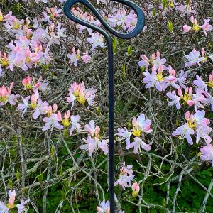 forged whimsical garden ornament