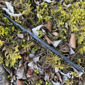 steel wand