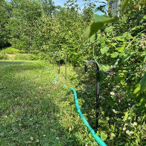 tall hand-forged garden hose guides